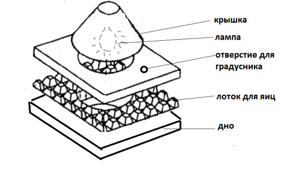 схема инкубатора